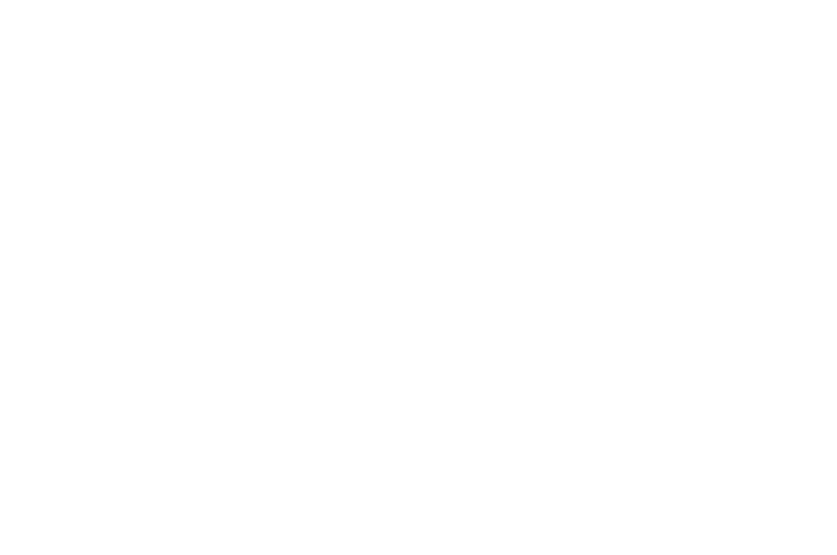 Familia DaSilva